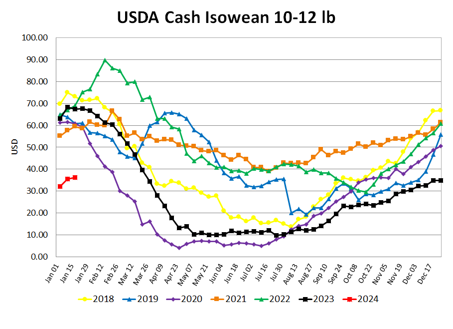 Isowean prices y/y