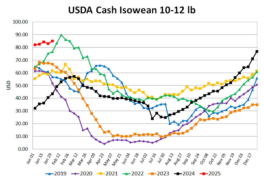 Isowean Cash