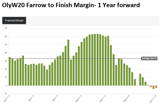 OlyW 20 Margins