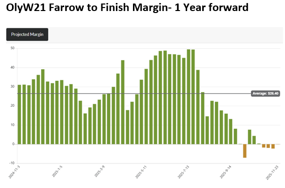 OlyW21 Margins