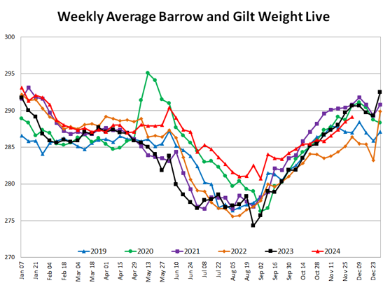 Weekly Weights