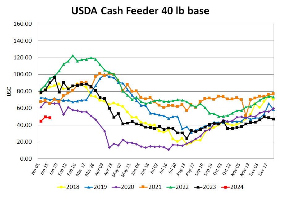 Feeder Pigs y/y