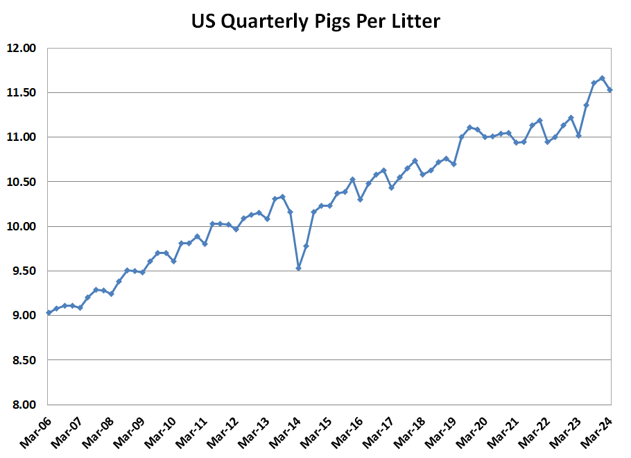 Pigs per litter