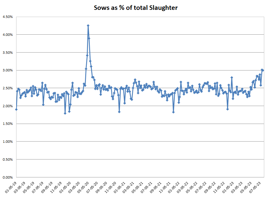 Sow slaughter as %