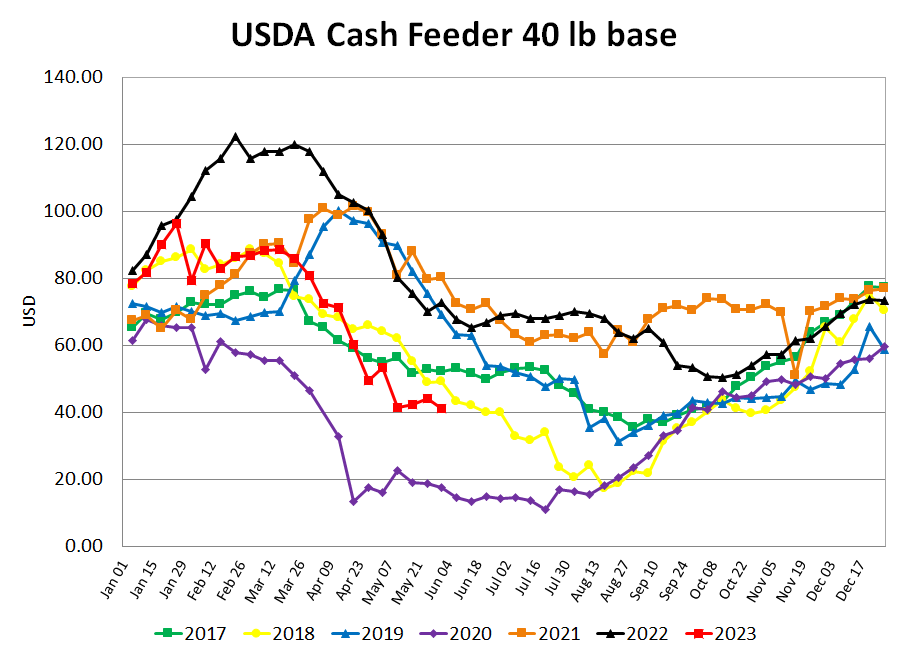 Feeder Pigs y/y